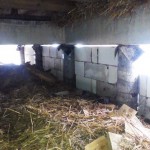 Вид из под дома - блоки и сваи фундамента