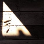 Щели в деревянном полу, треугольная тень из от солнца
